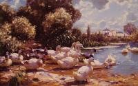 Alexander Koester - Mid Day Swim